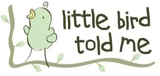 Little bird