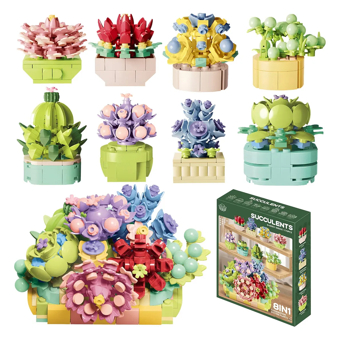 Jungle kocke sukulenti