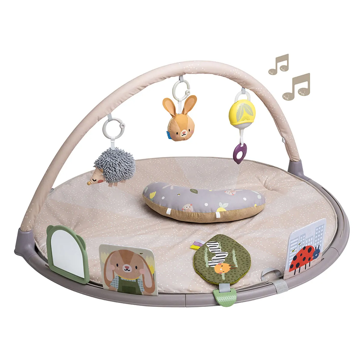 Taf Toys gimnastika
