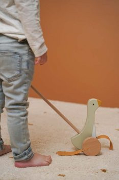 Little Dutch guralica, LittleGoose