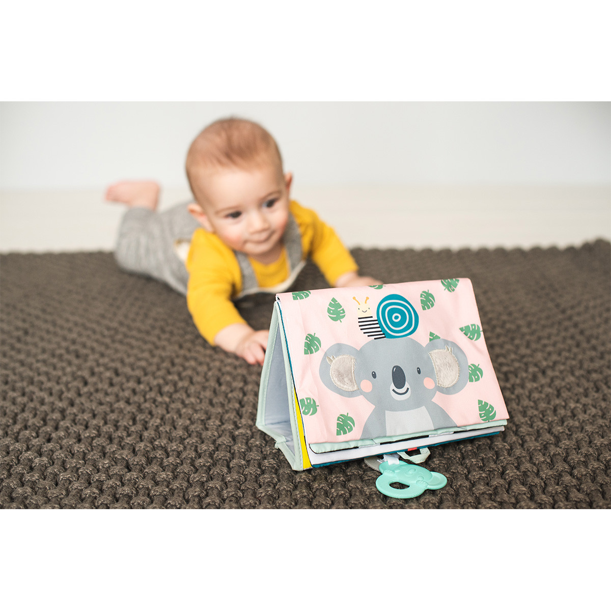 Taf Toys edukativna knjiga