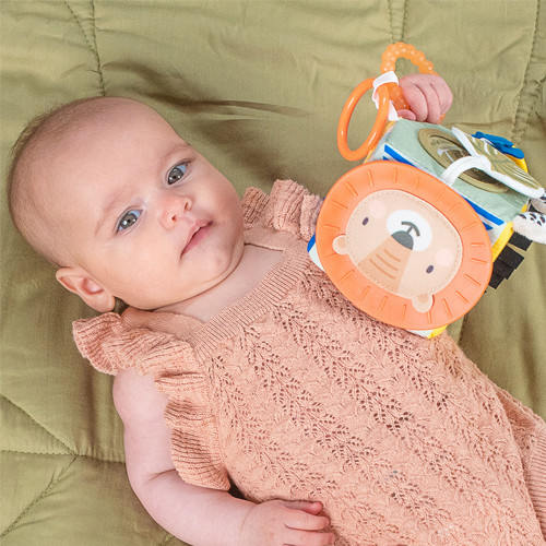 Taf Toys aktivna zakačaljka