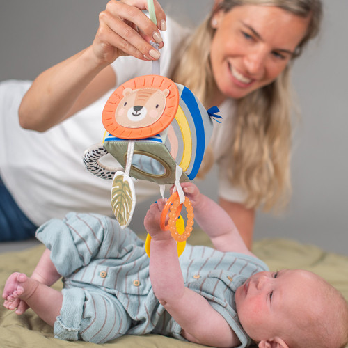 Taf Toys aktivna zakačaljka