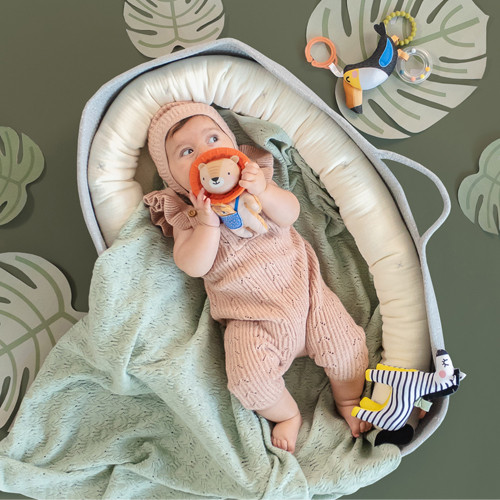 Taf Toys aktivna zakačaljka