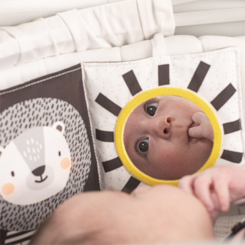 Taf Toys edukativna knjiga/ogradica