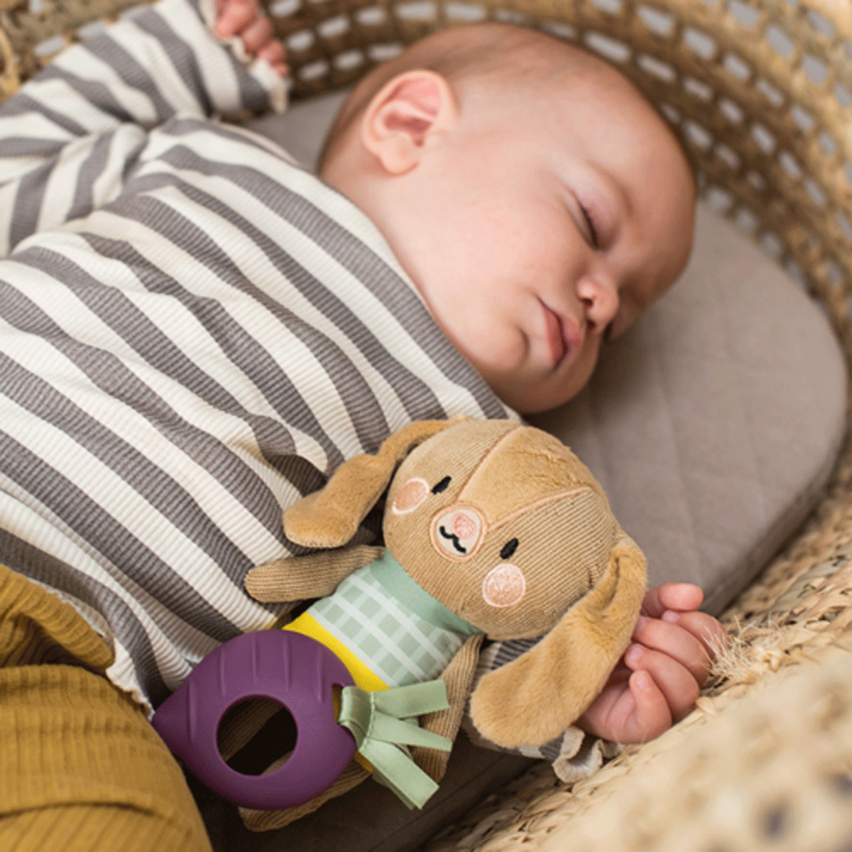 Taf Toys zeka sa glodalicom