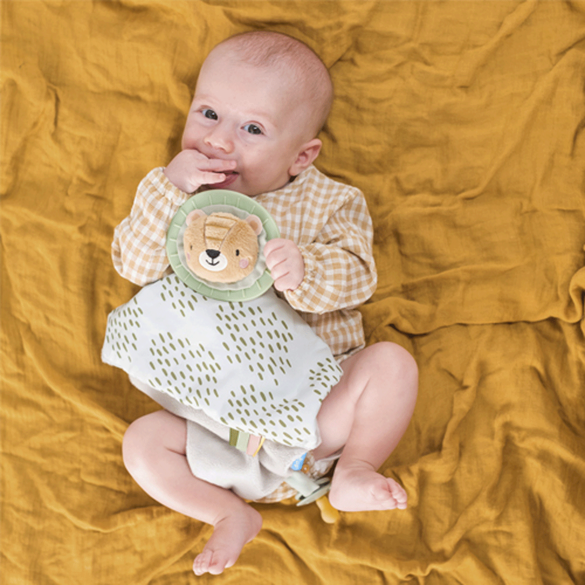 Taf Toys Lav tešilica