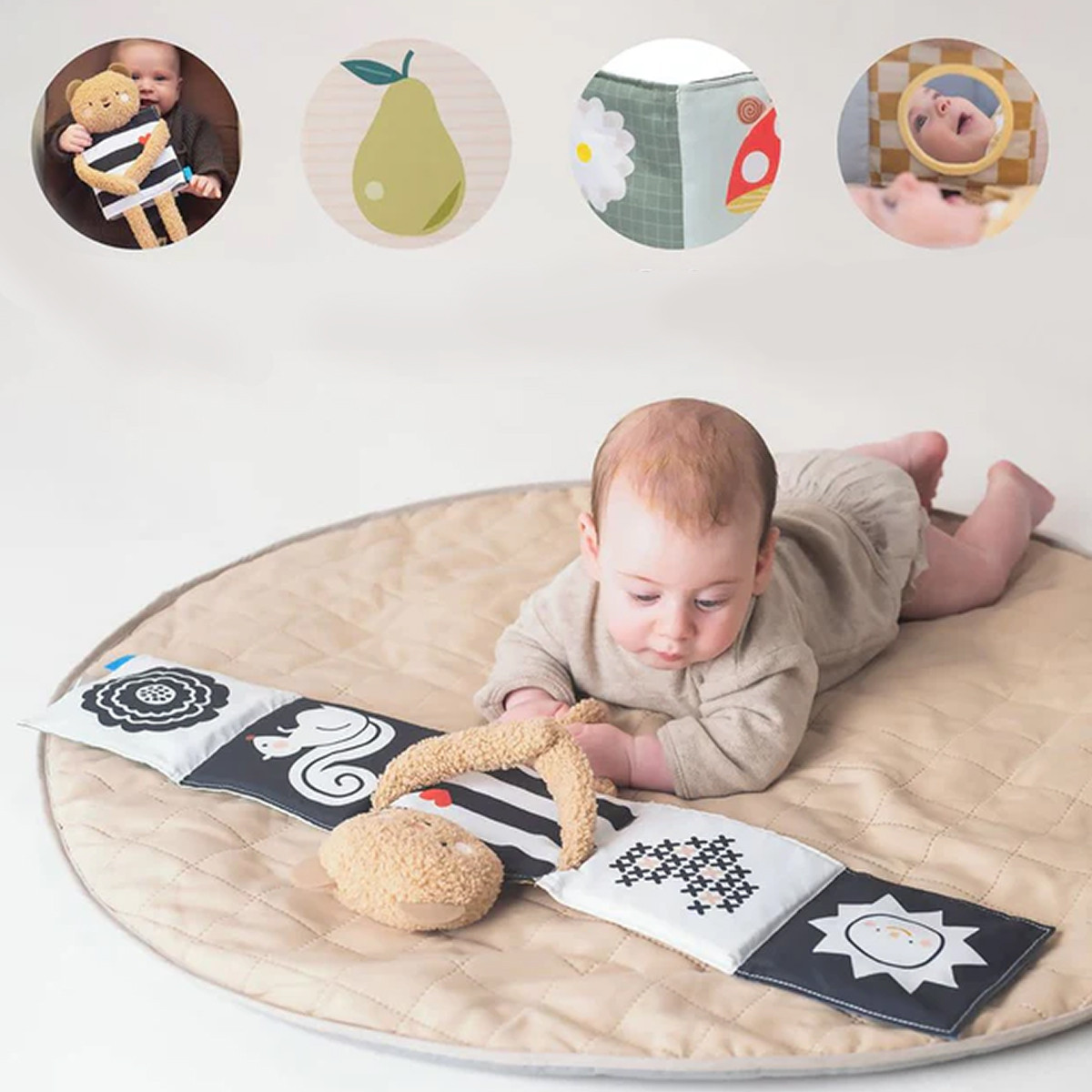 Taf Toys plišani meda sa knjigom