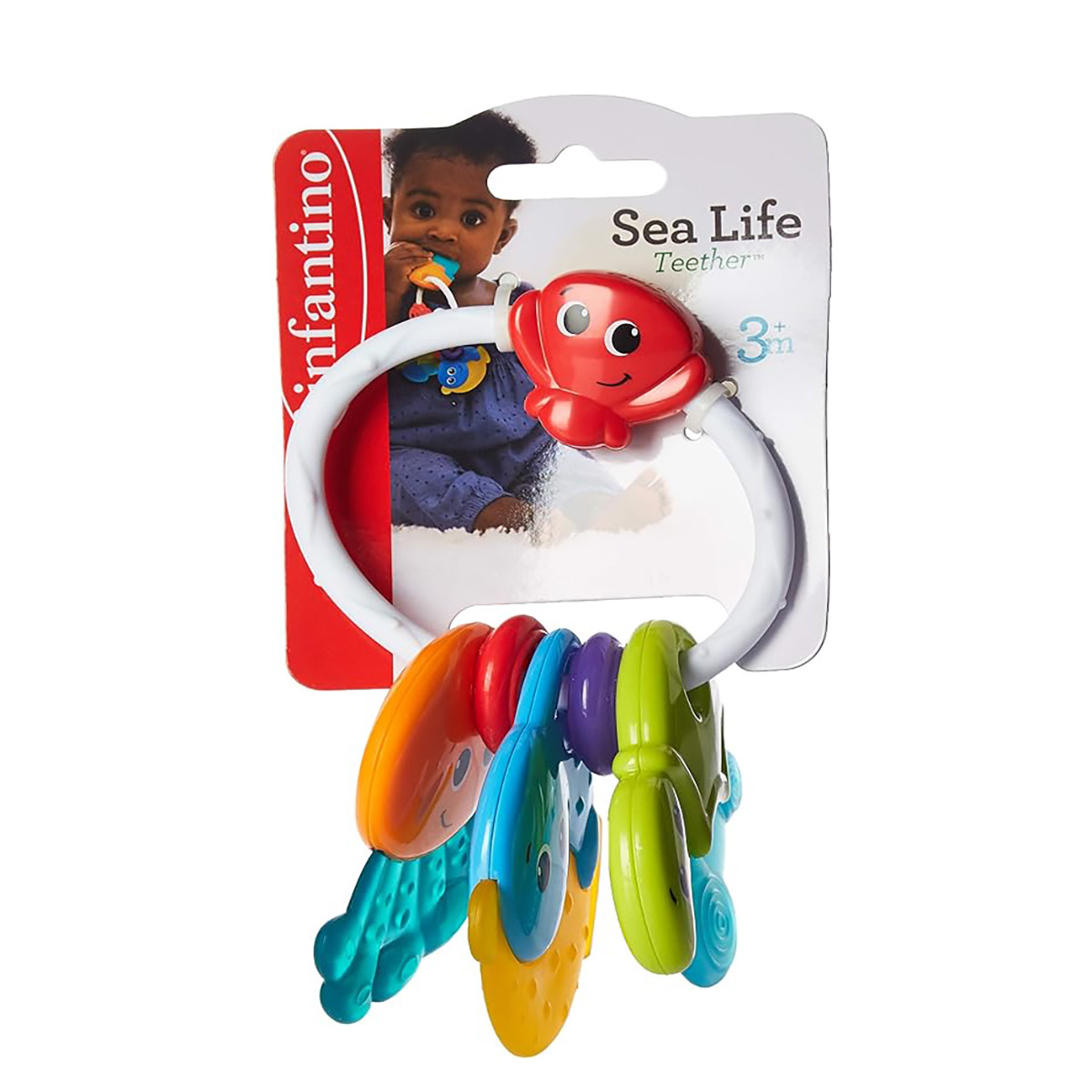 Infantino glodalica Sea Life