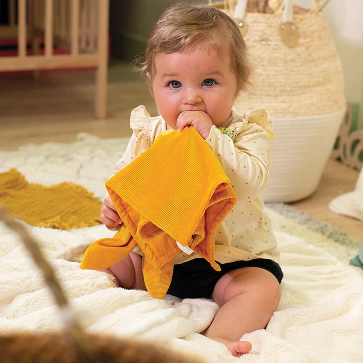 Kaloo mekana mazilica, 11.8cm