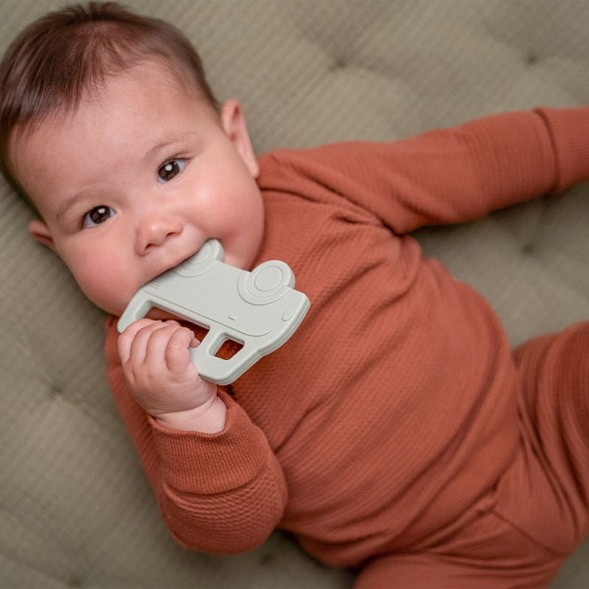 Little dutch glodalica