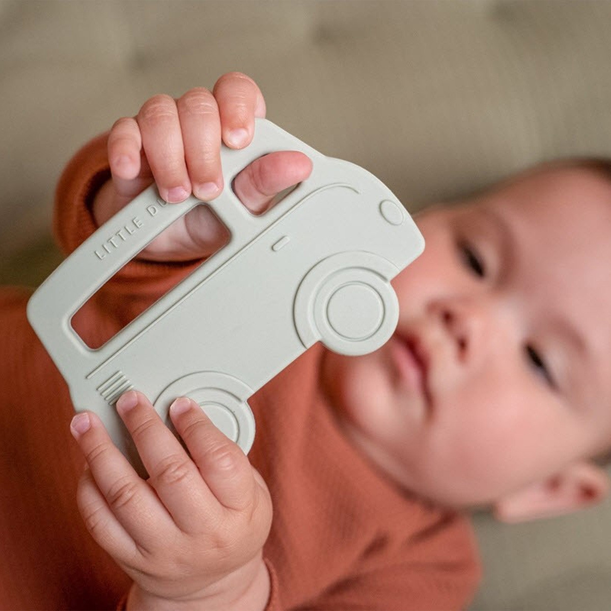 Little dutch glodalica