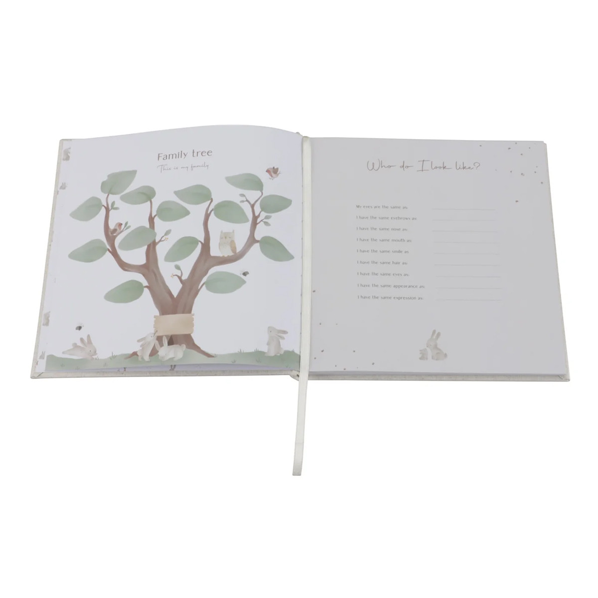 Little Dutch spomemar