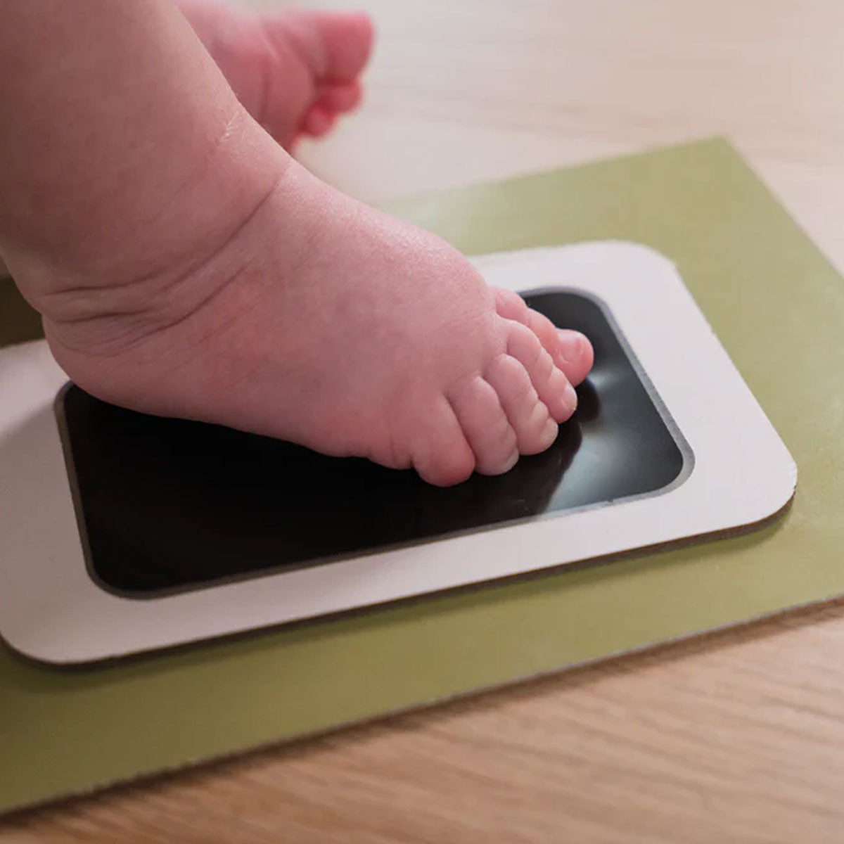 Petit Artichaut Puzzle ram Olive Tree