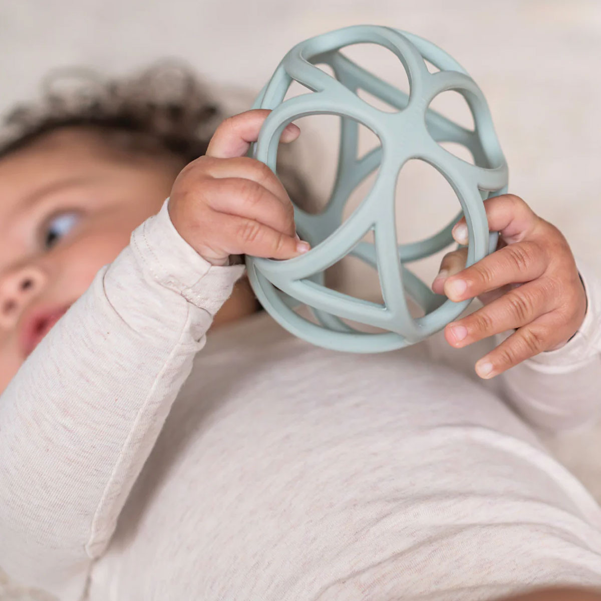 Little Dutch glodalica