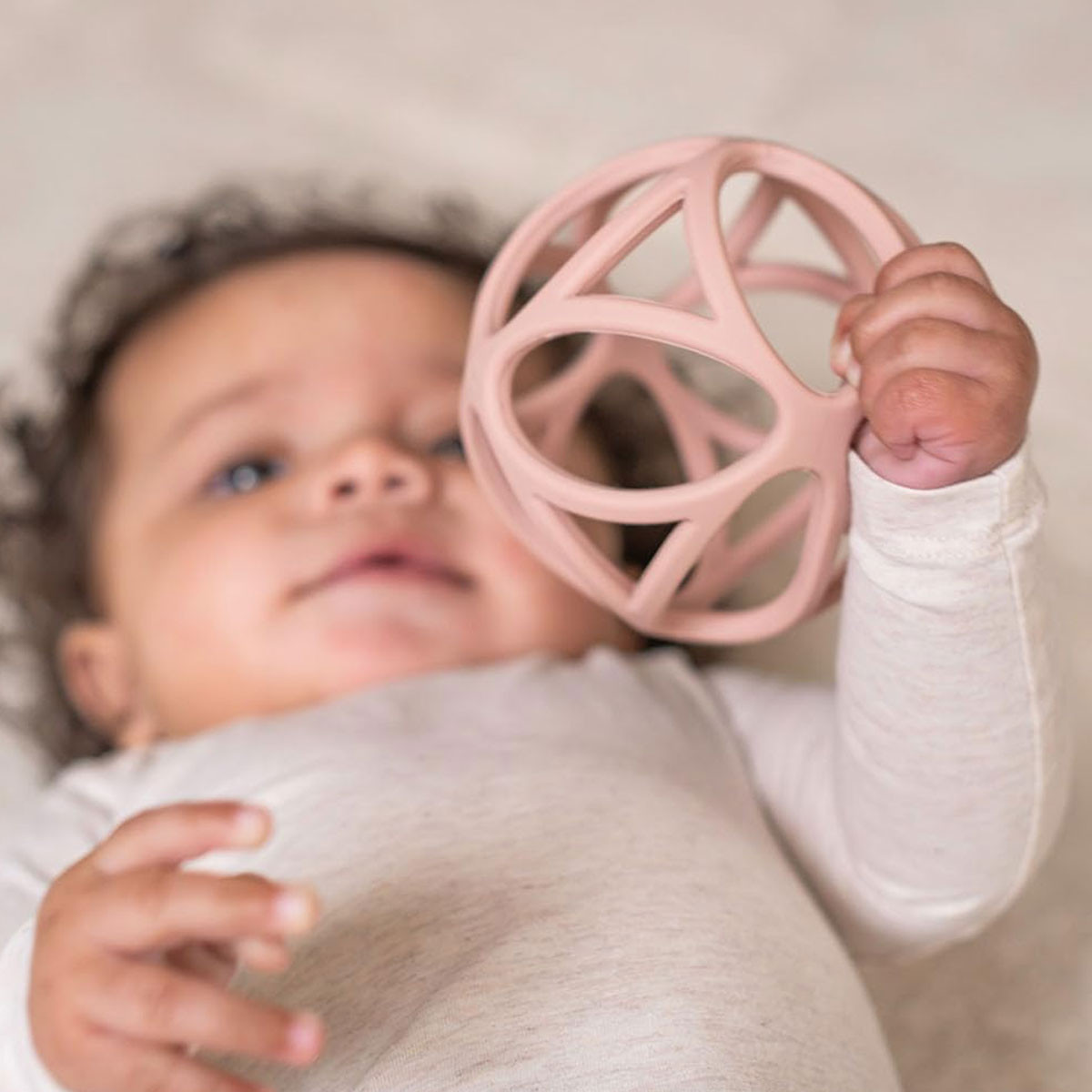 Little Dutch glodalica