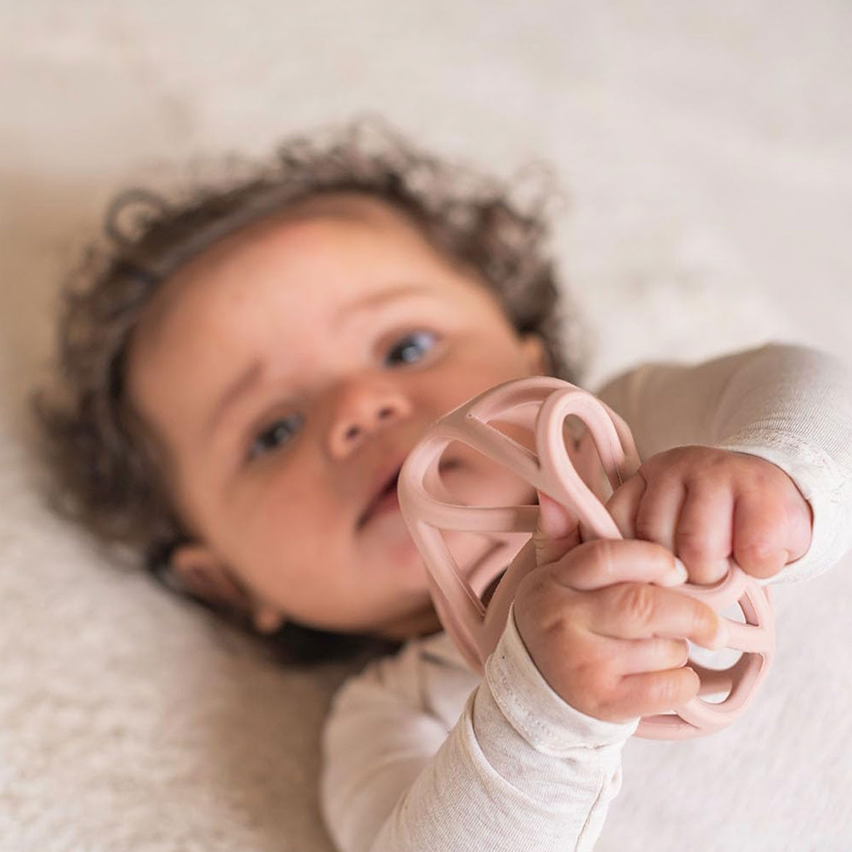 Little Dutch glodalica