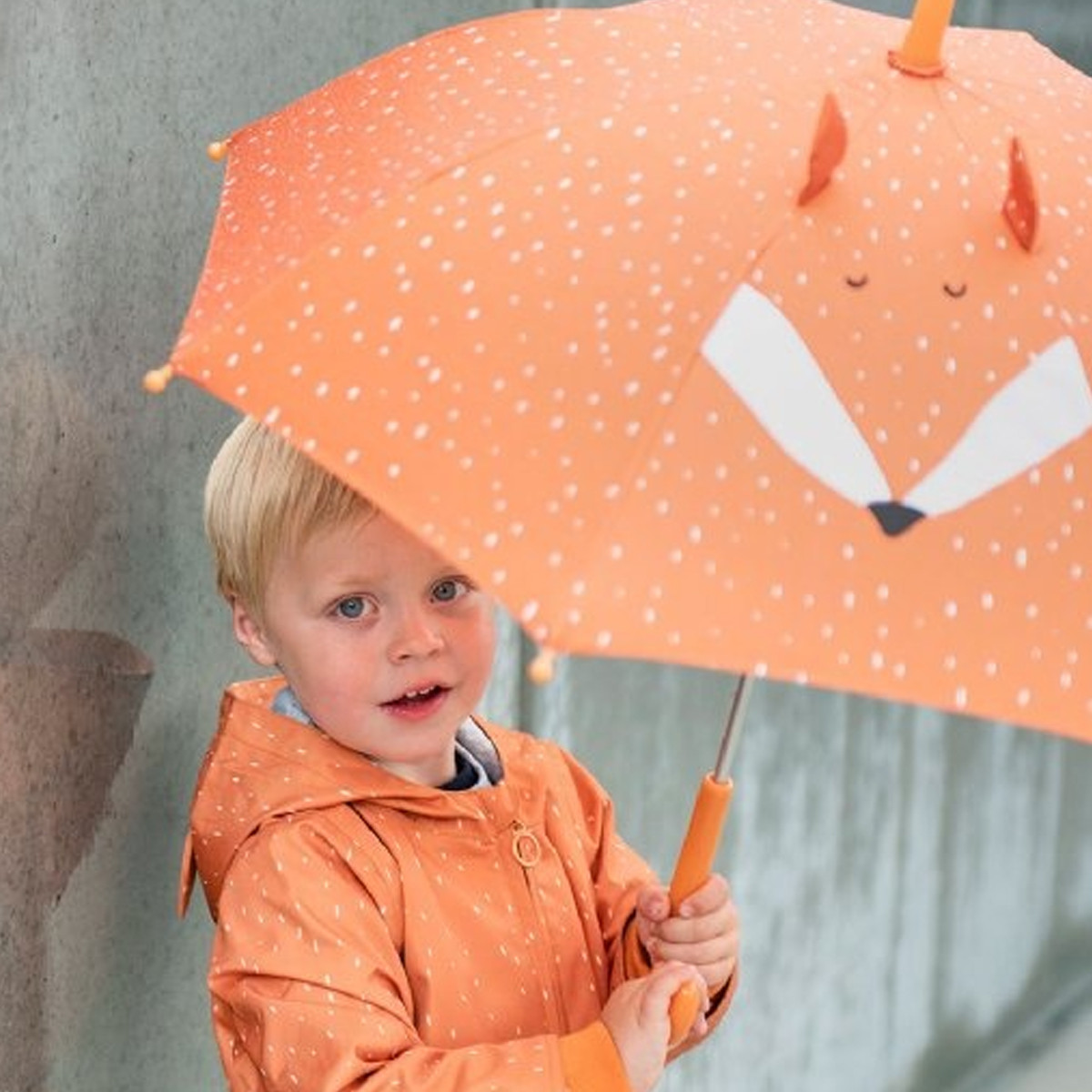 Trixie kišobran Lisica