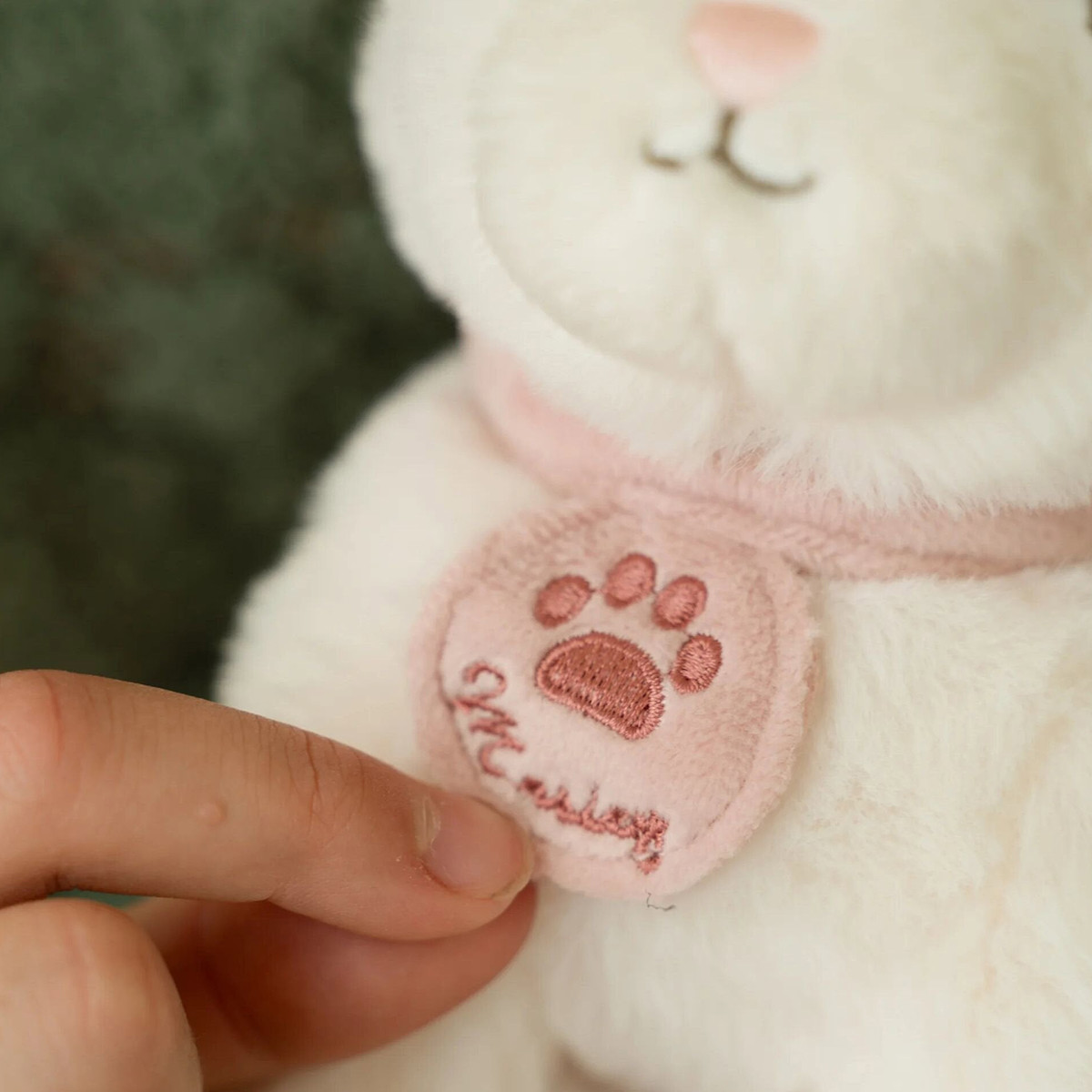 Little Dutch mačka u torbi