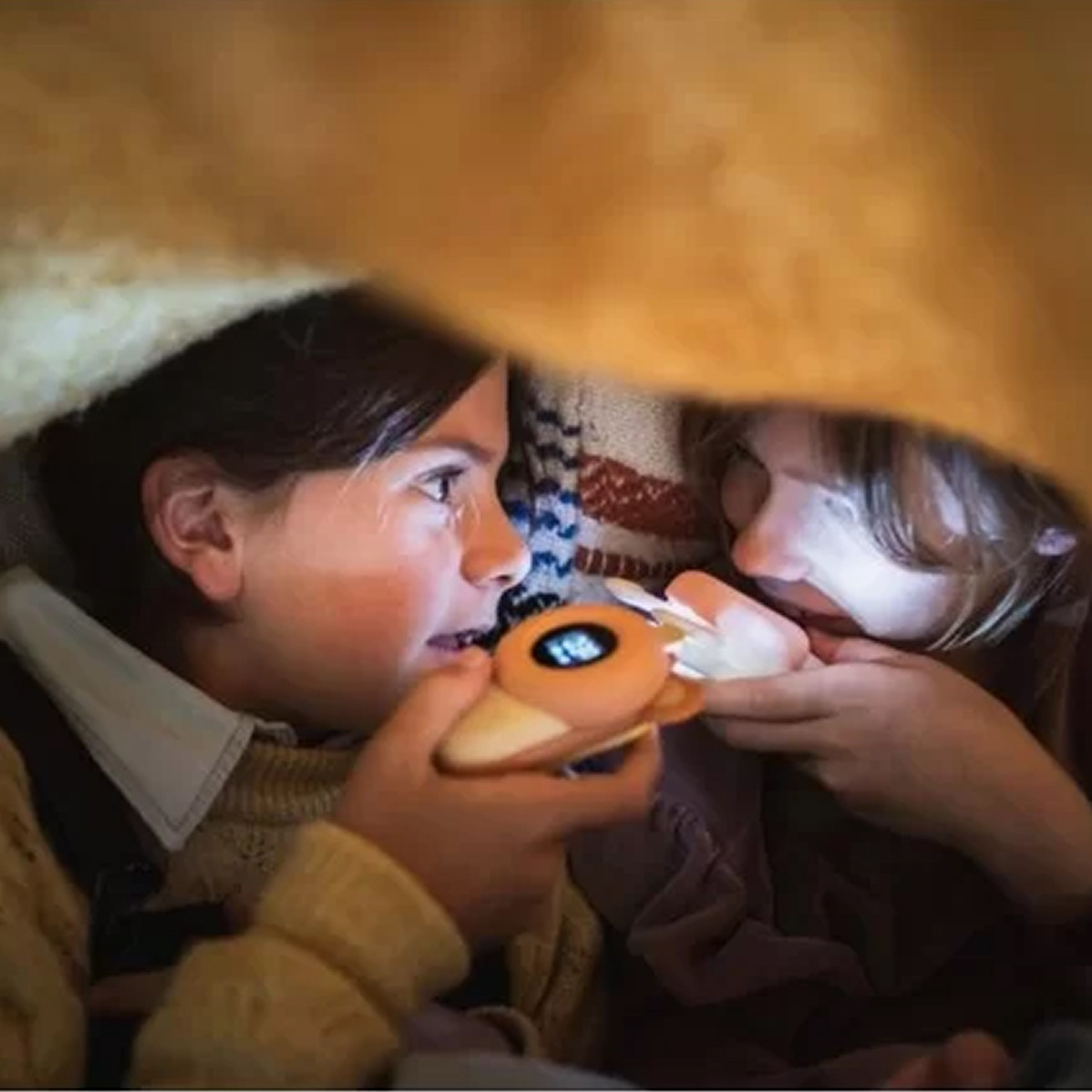 The Zoofamily voki toki Meda izeka