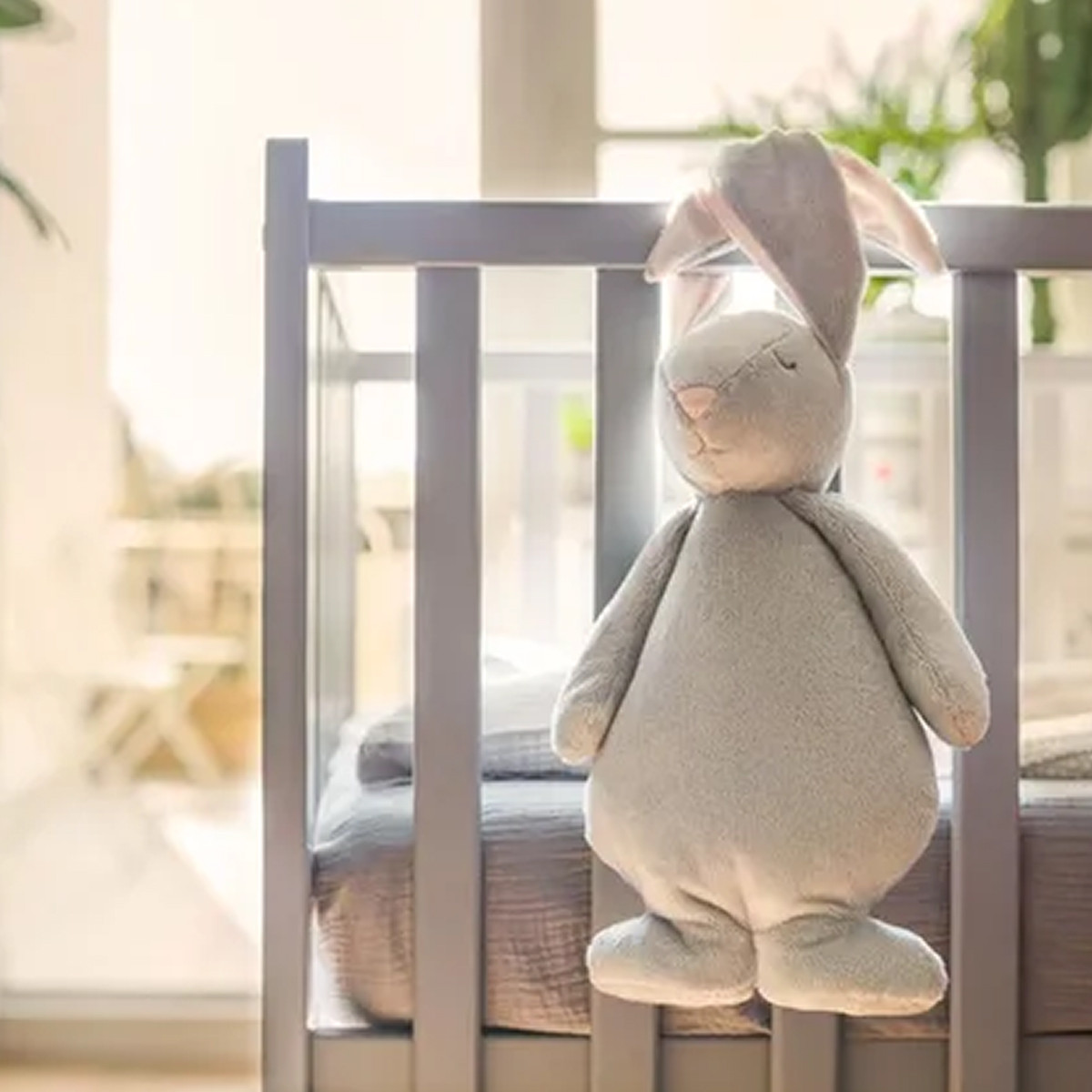 Moonie zeka 2.0 Organic, Cloud