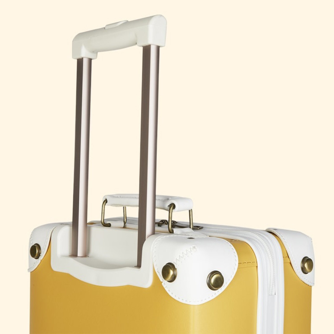 Pellianni kofer, 40x30x17cm