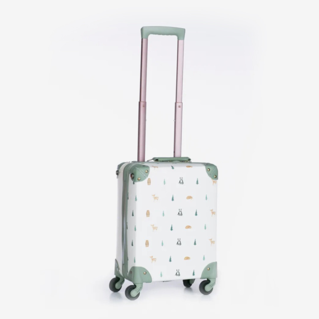 Pellianni kofer, 40x30x17cm