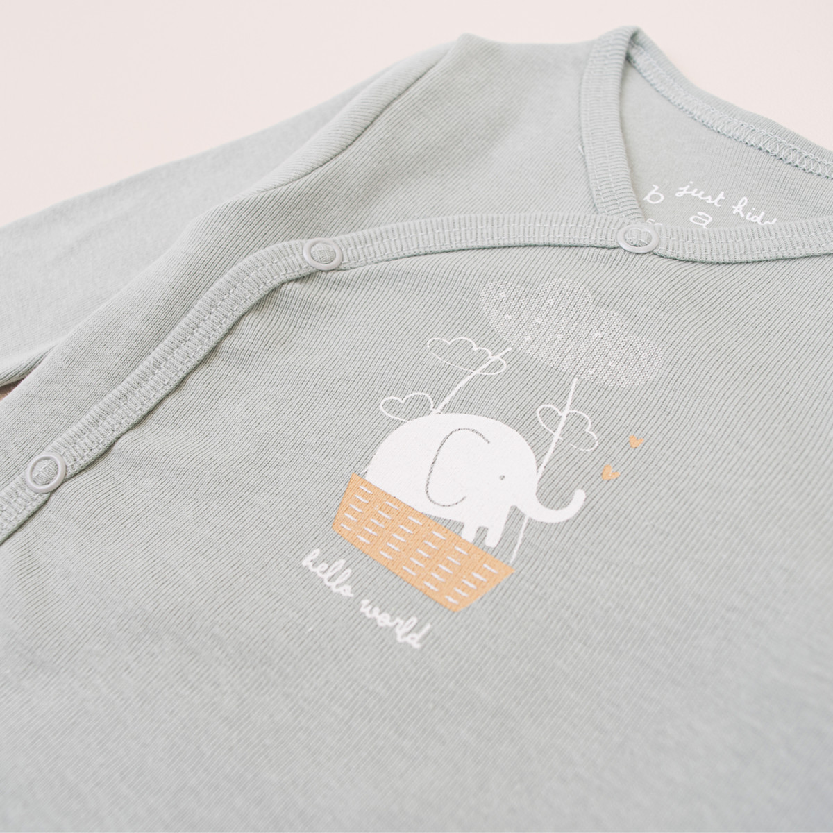 Just kiddin set za iznošenje 