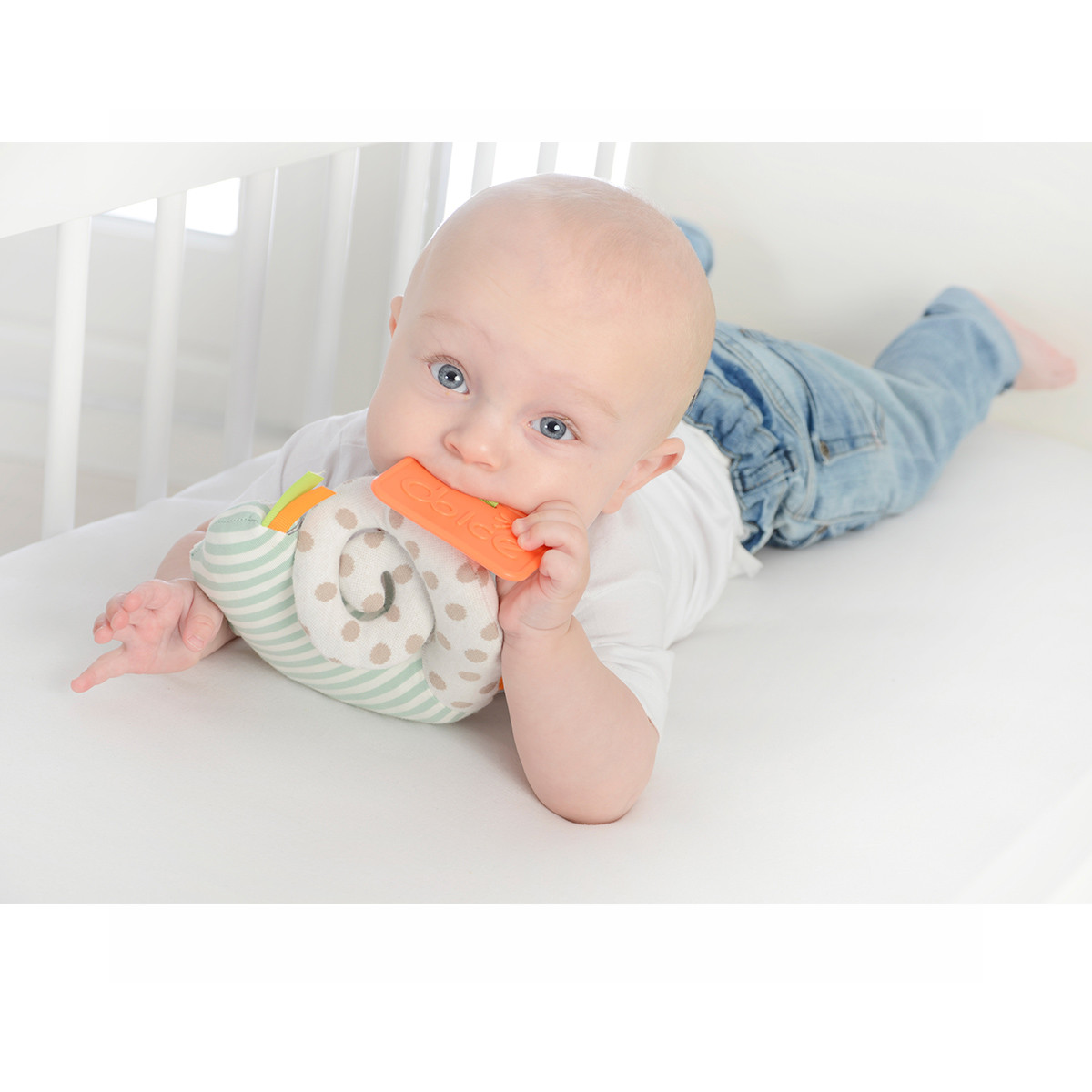 Dolce edukativna igračka - Kameleon Primo