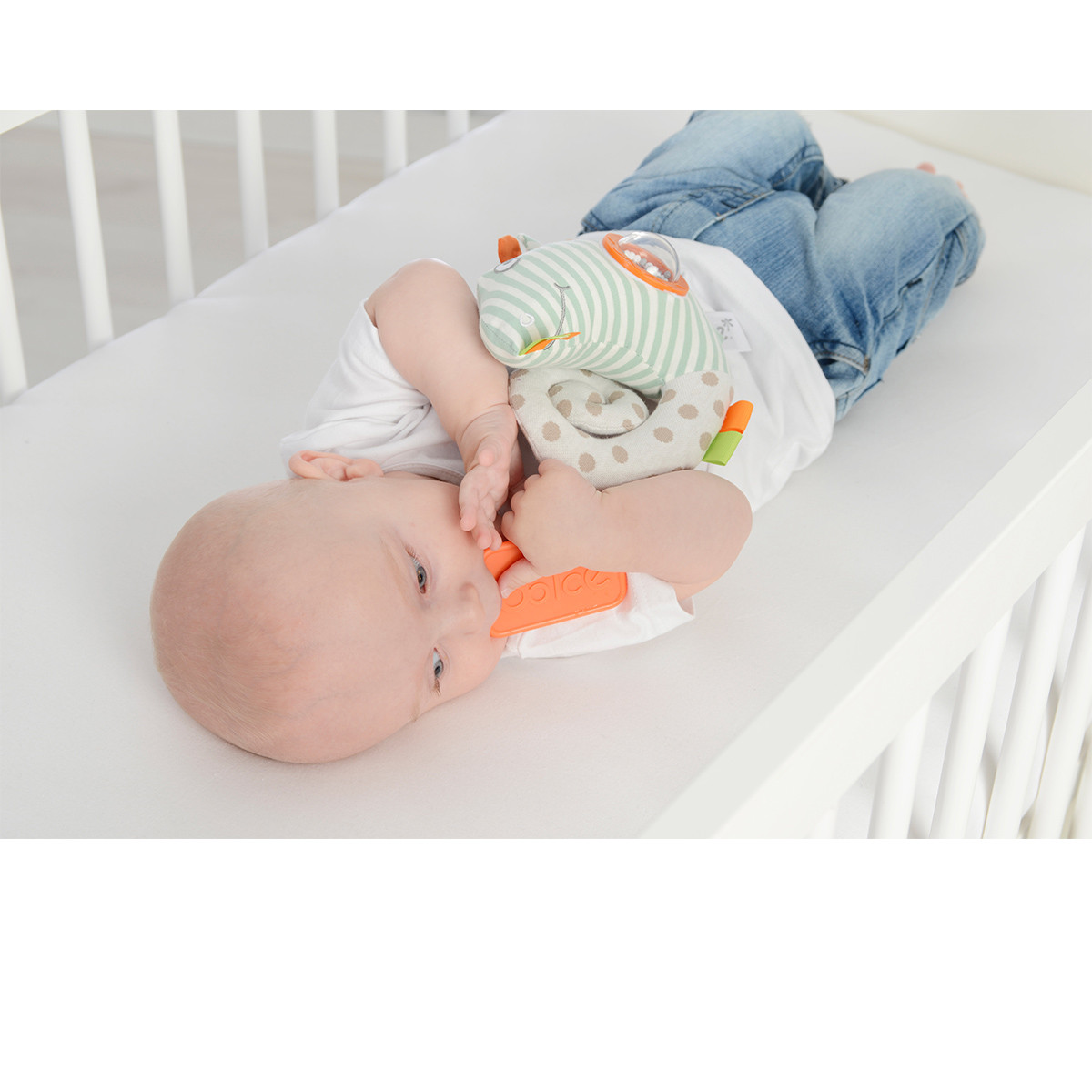 Dolce edukativna igračka - Kameleon Primo