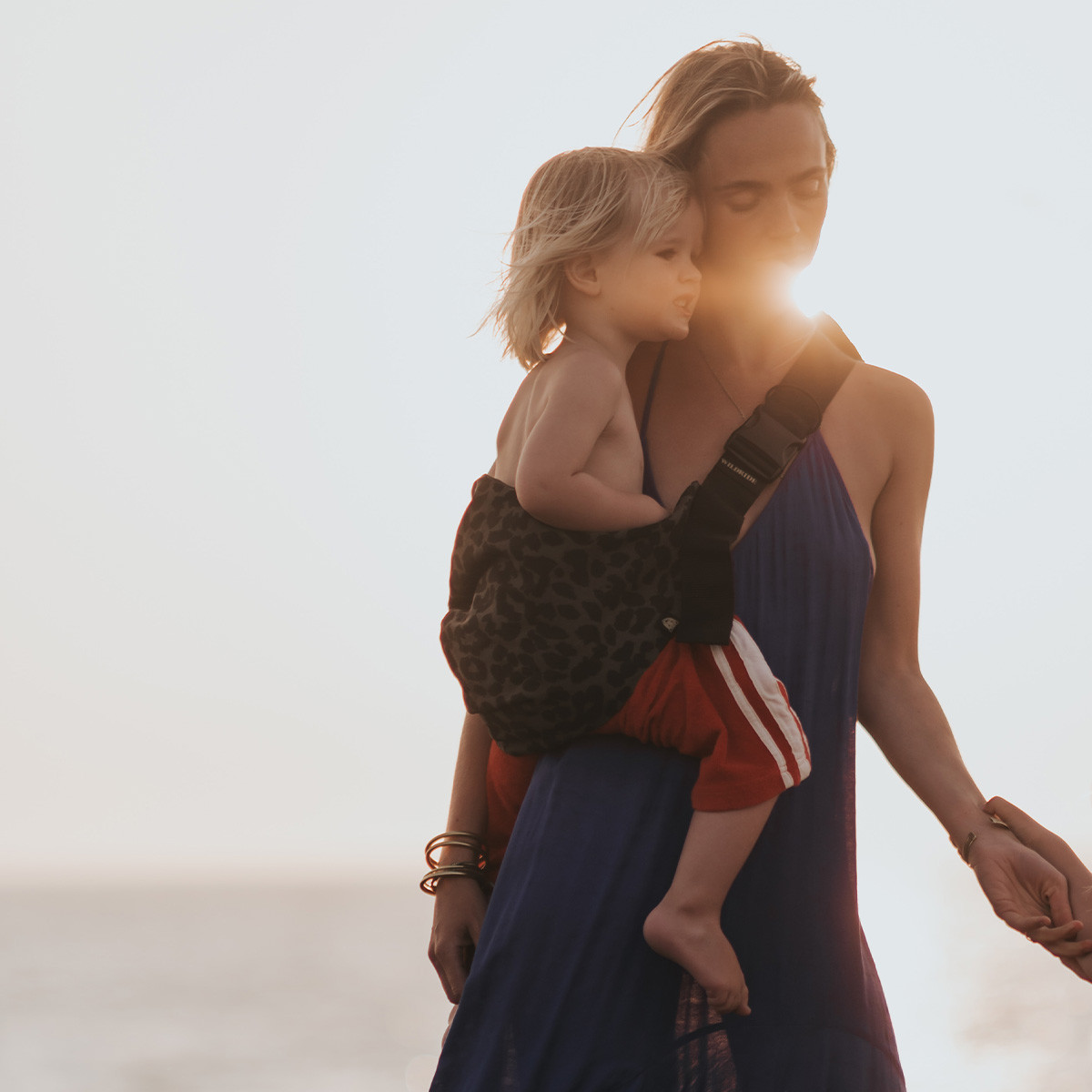 Wildride nosiljka, Leopard brown