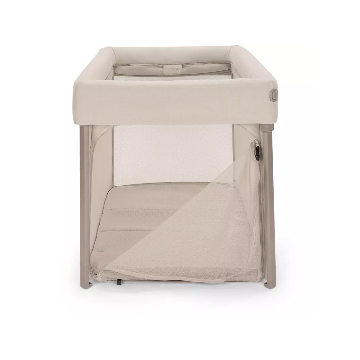 Nuna krevetac Paal, Biscotti