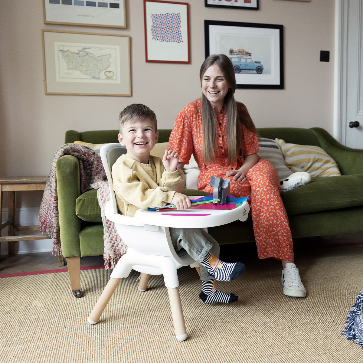 Joie hranilica Chestnut, Mist