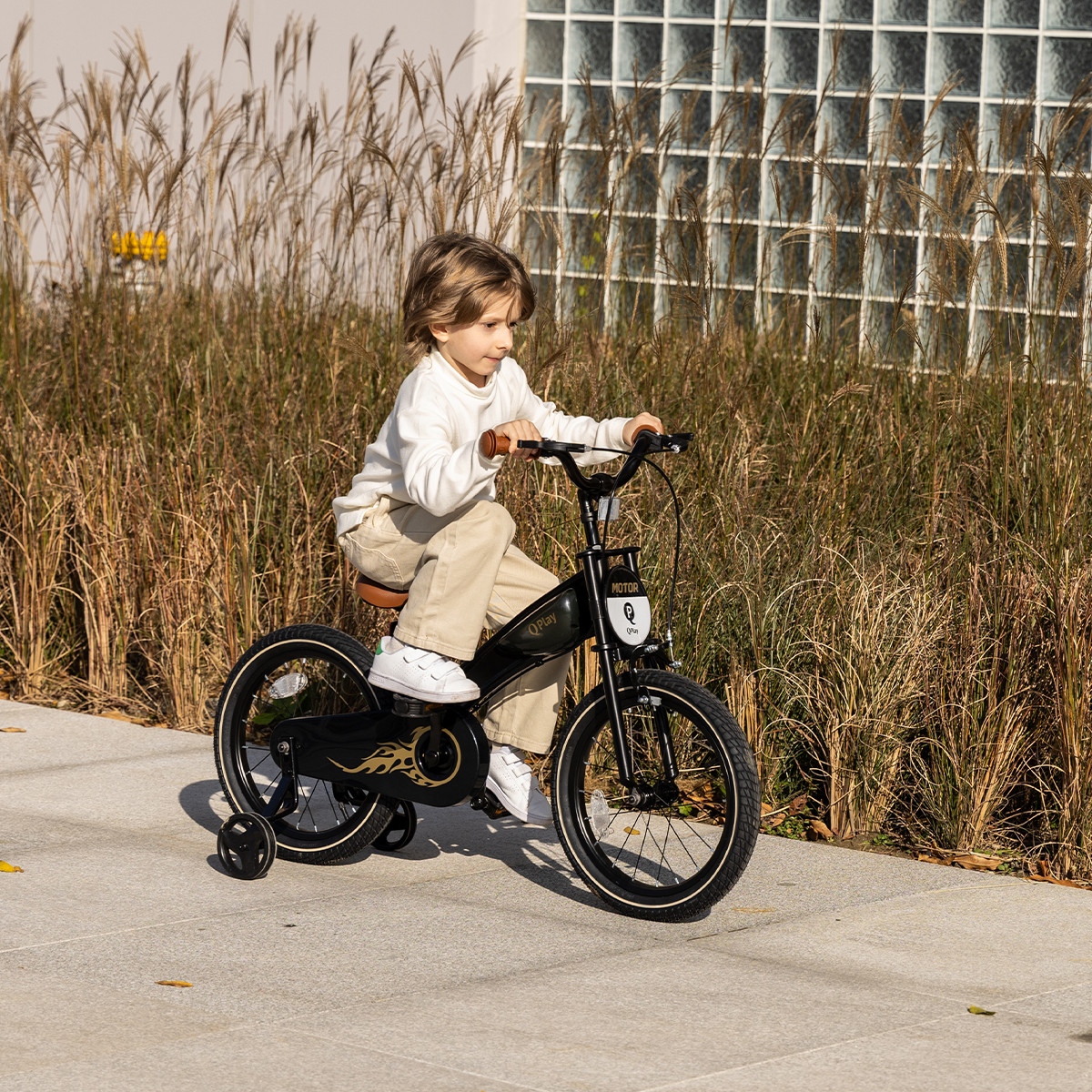 Qplay bicikl Motor