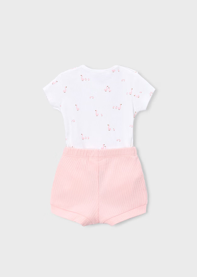 Mayoral komplet, 4/1