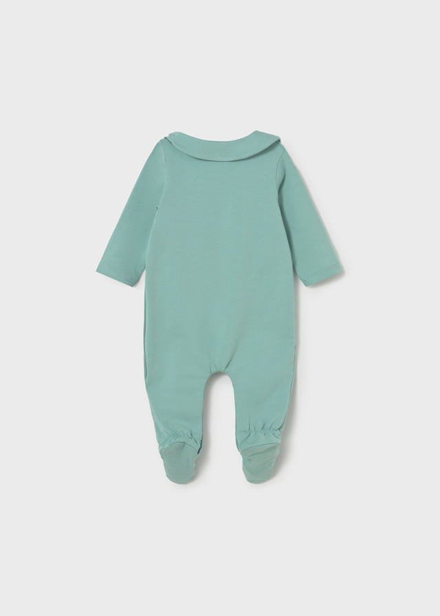 Mayoral zeka sa portiklom