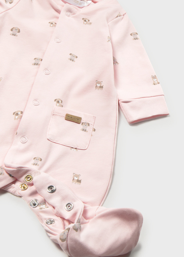 Mayoral zeka sa kapom