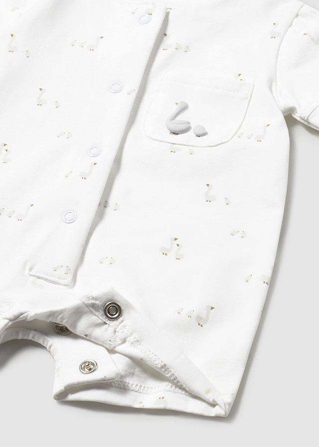 Mayoral zeka sa čarapicama