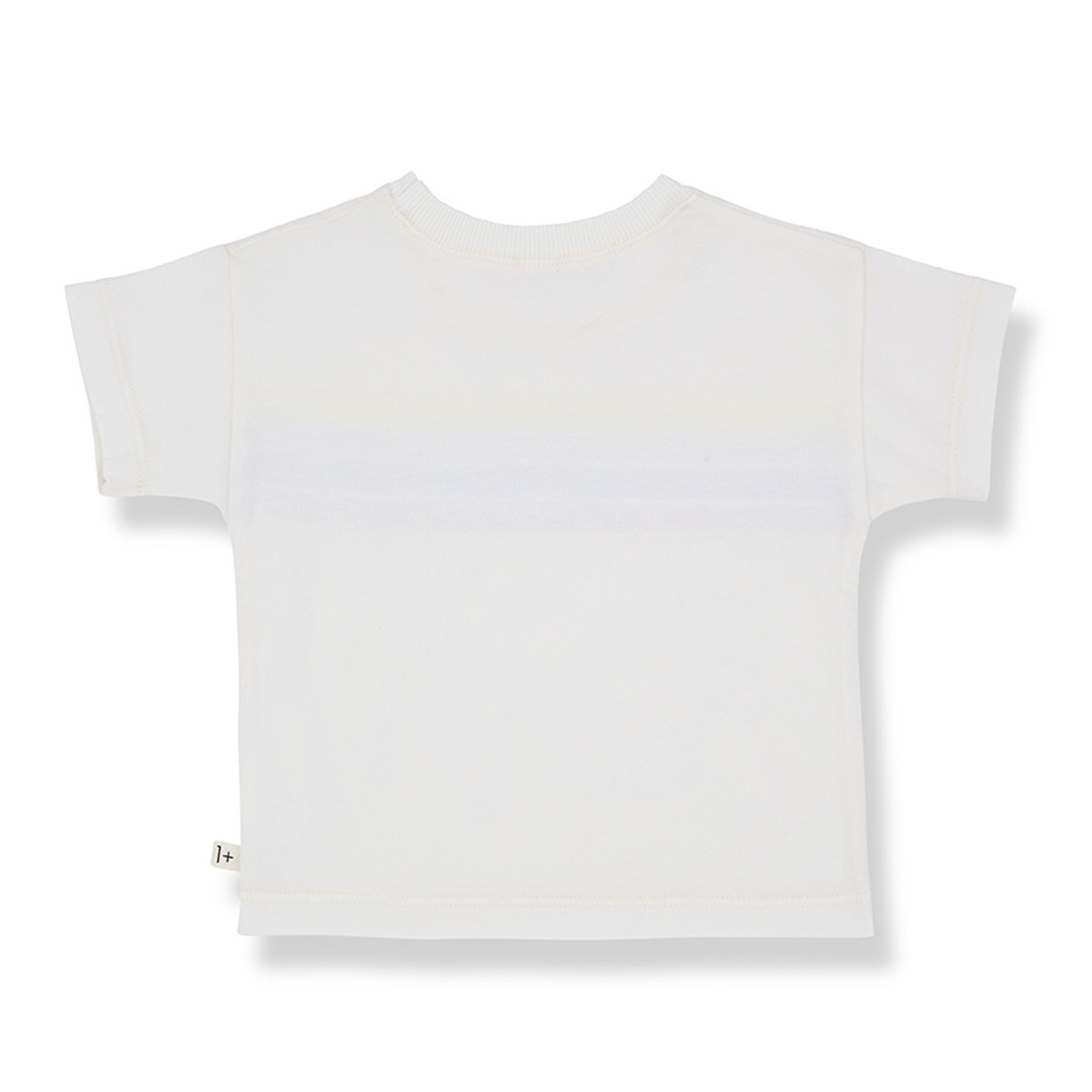 One more in the family majica