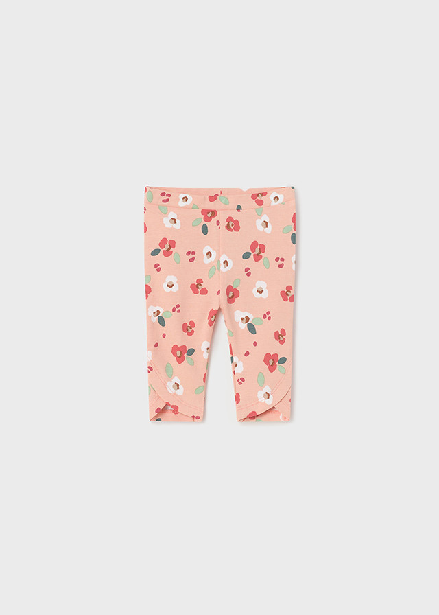 Mayoral helanke, 2/1