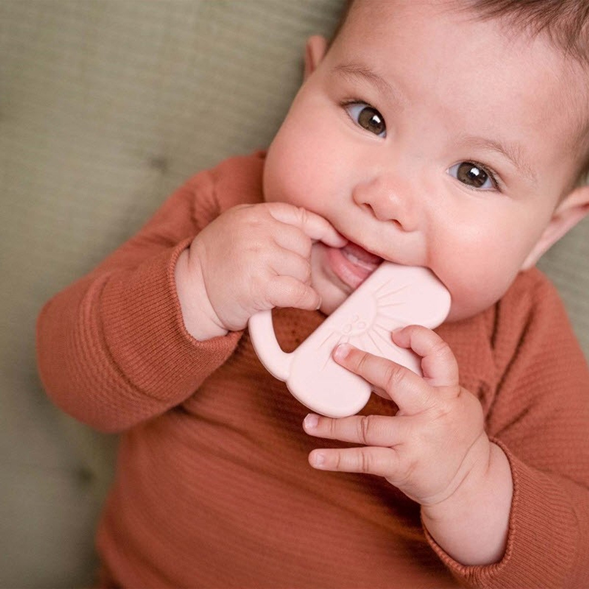 Little dutch glodalica cvet