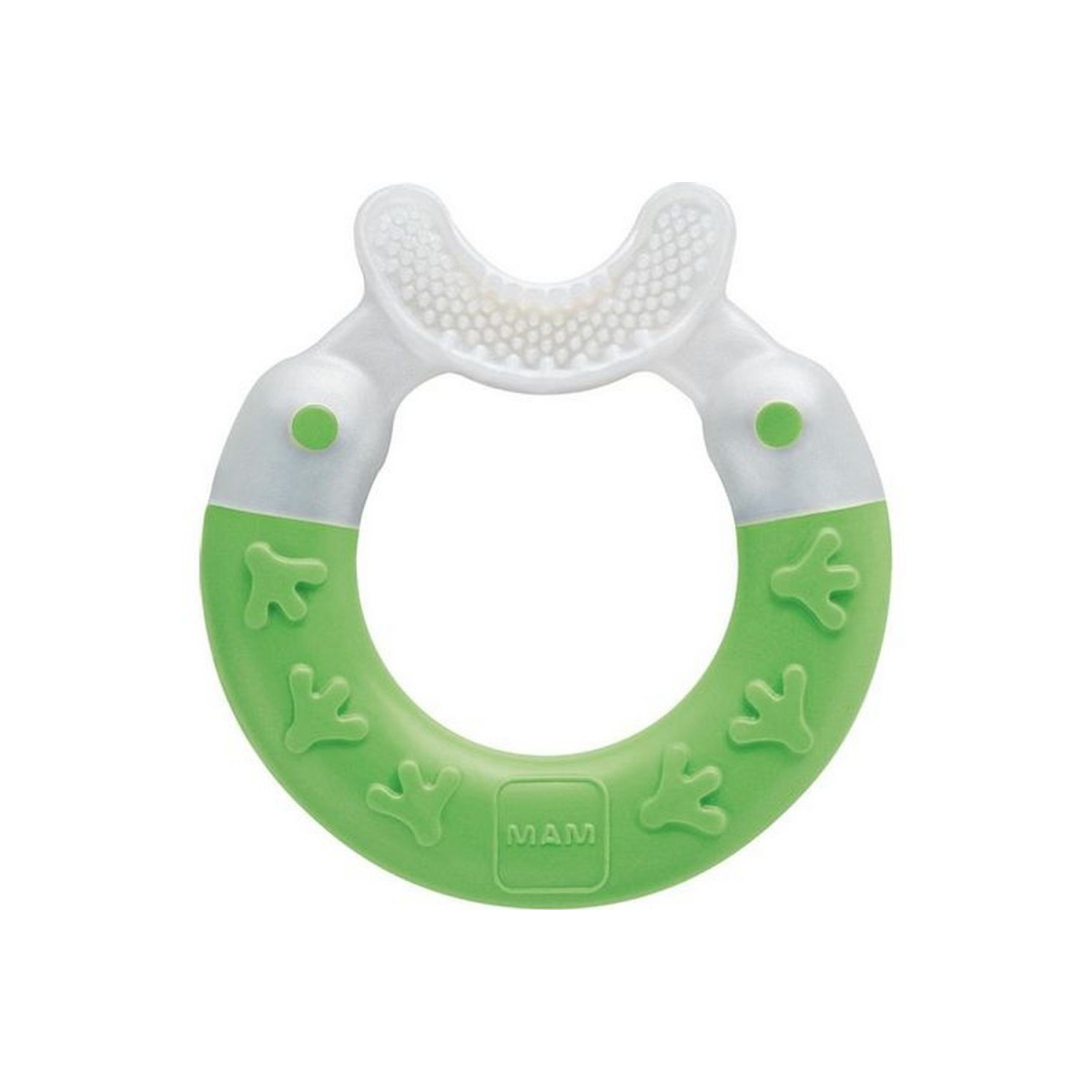 Mam glodalica sa  četkicom