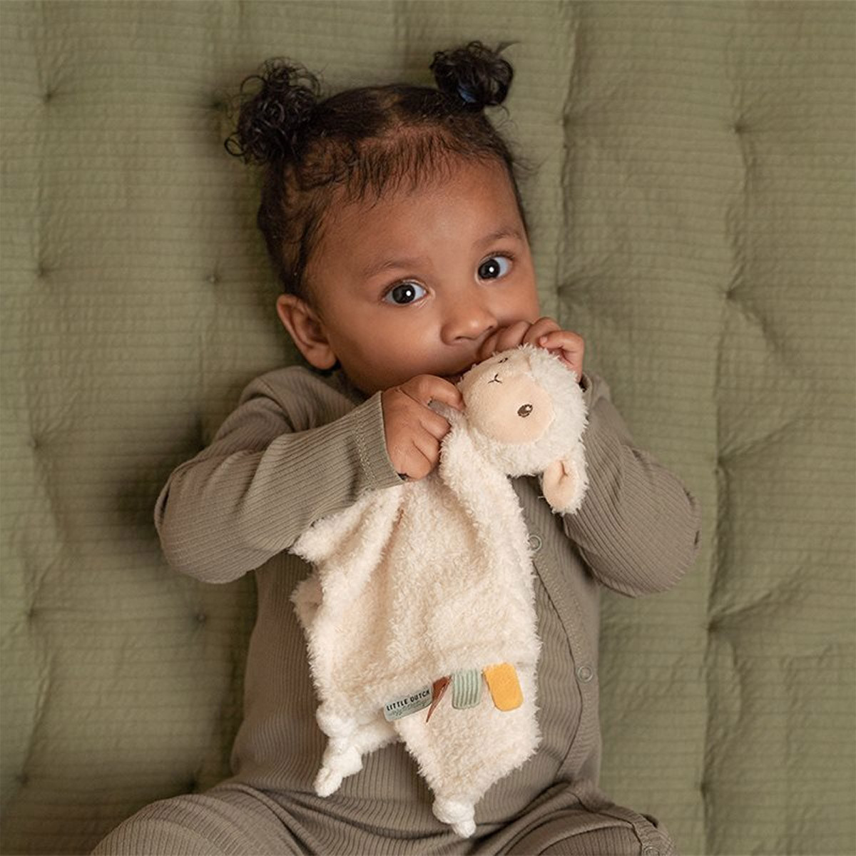 Little Dutch mazilica 