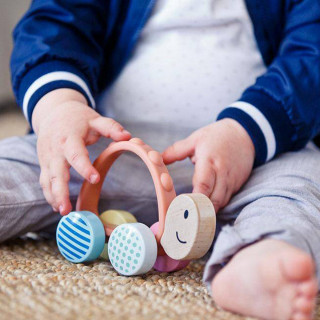 Hape glodalica kornjača