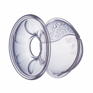 Avent grudne skoljke