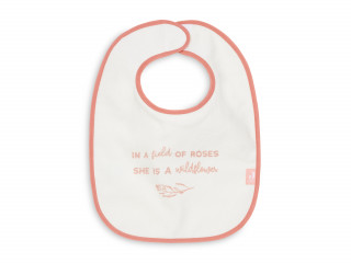 Jollein portikla, 3/1