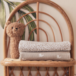 Jollein maramice, 2/1