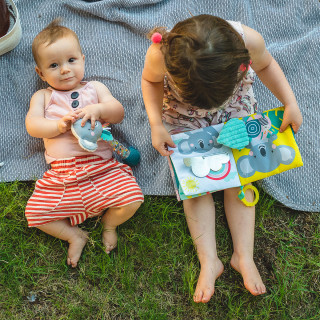 Taf toys edukativna knjiga