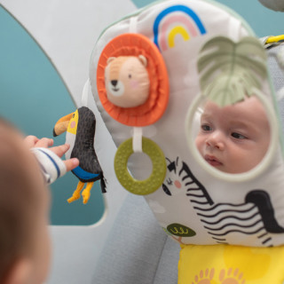 Taf Toys aktivna igračka za auto