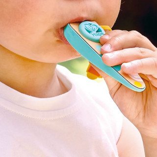 Hape drveni kazoo